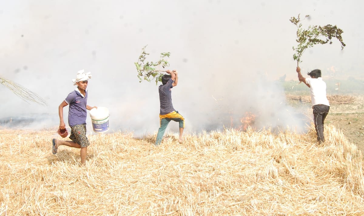  thousands of acres Harvest and more than 300 home burns