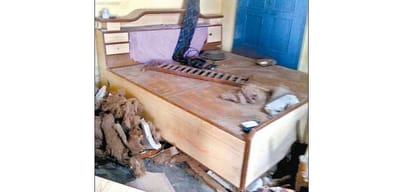 Leopard enters a home in una himachal pradesh