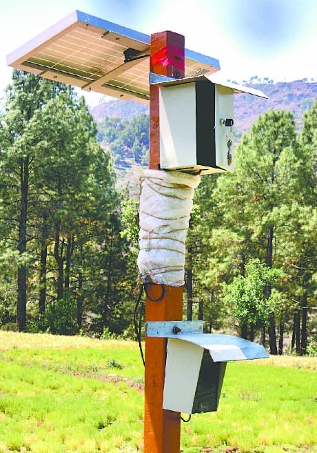 Solar farming