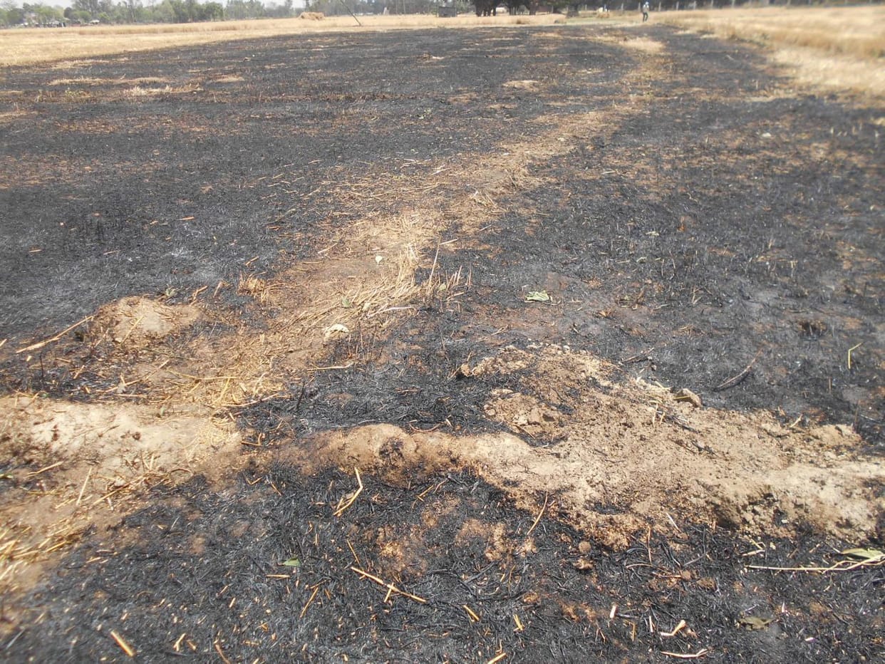 wheat fire, fire in wheat in mansa, mansa fire  