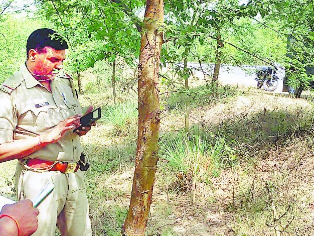 murder female, body thrown along highway