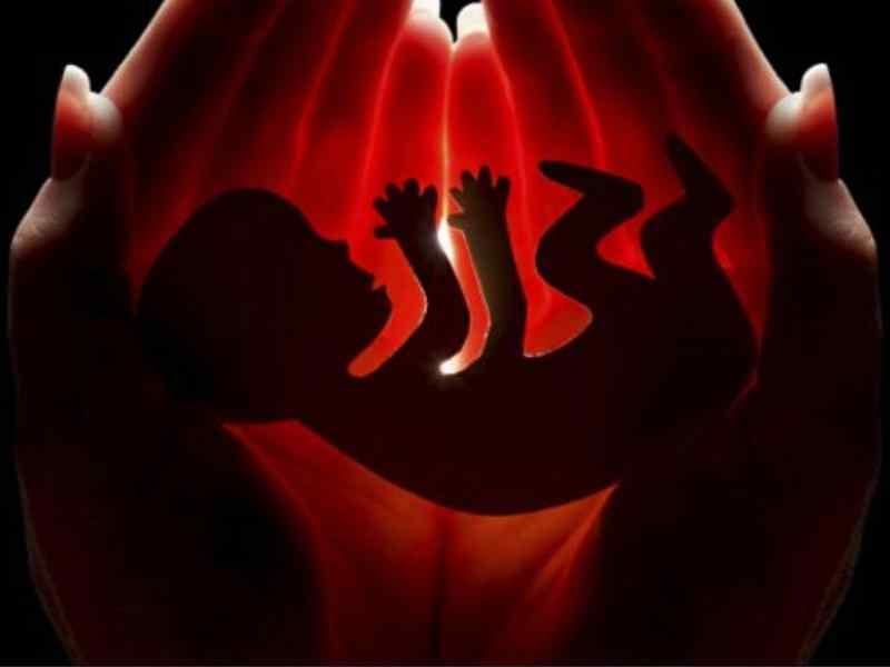 raid, ultra sound center, crime, patiala