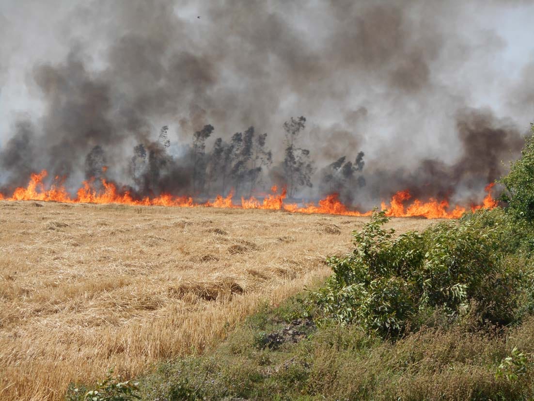 Incidents of fires wreak havoc in the district are