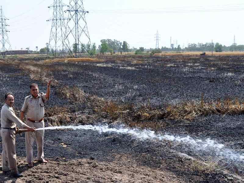 fire in field, 10 lac lose, tragedy, patiala