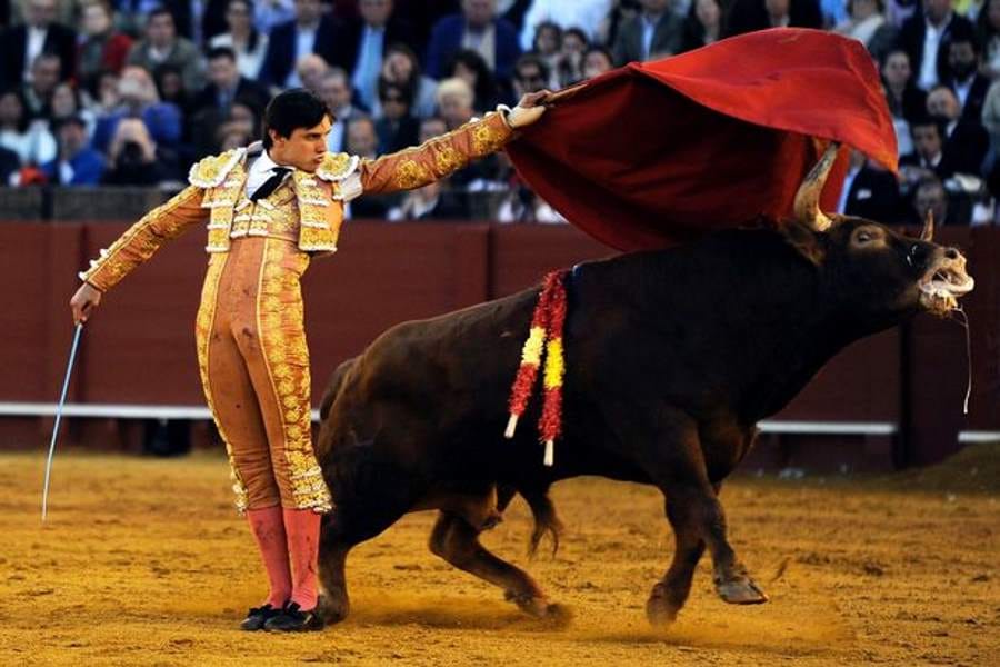 bull gored man on his buttocks and rectum