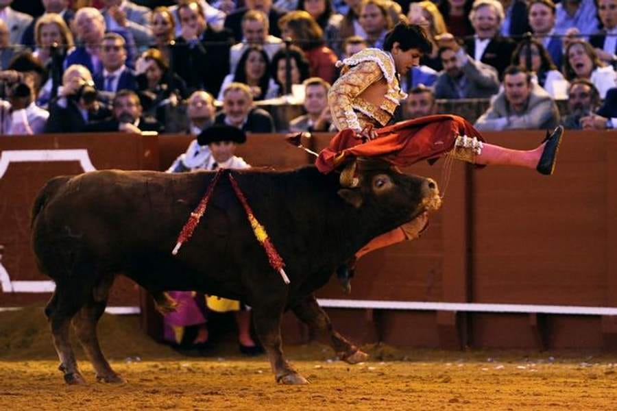 bull gored man on his buttocks and rectum