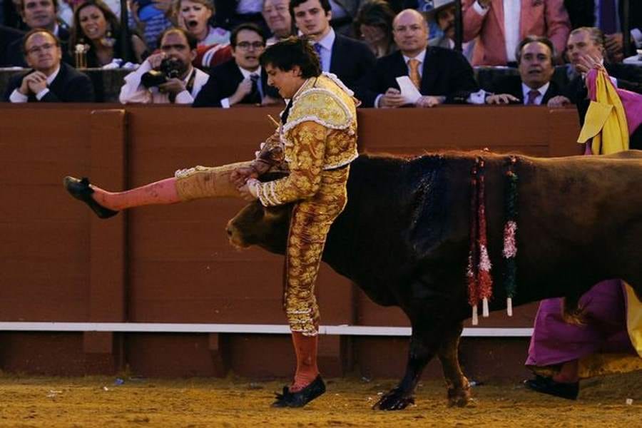 bull gored man on his buttocks and rectum
