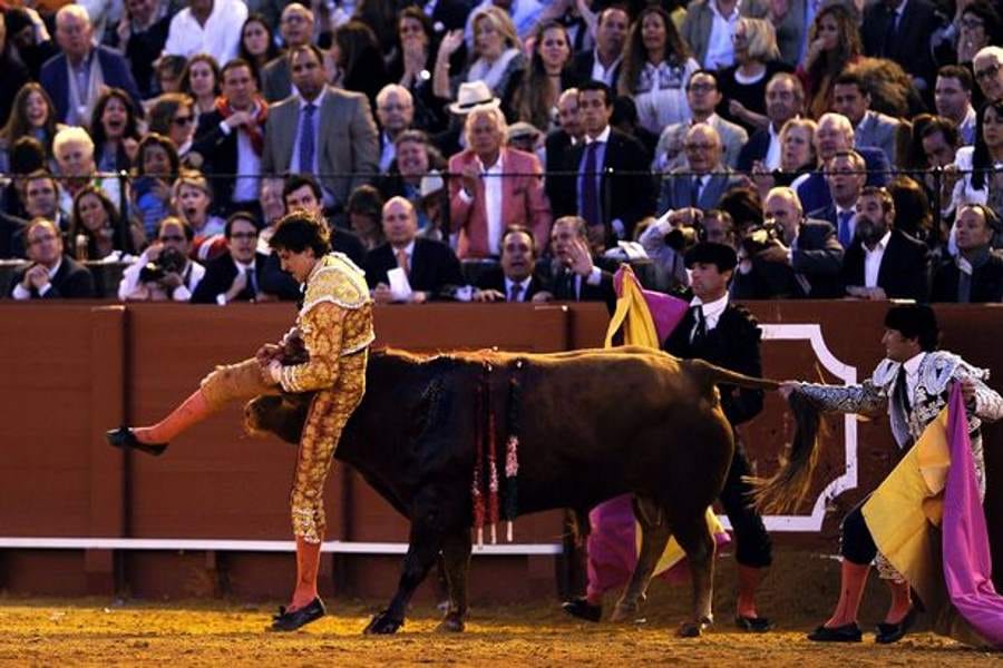 bull gored man on his buttocks and rectum