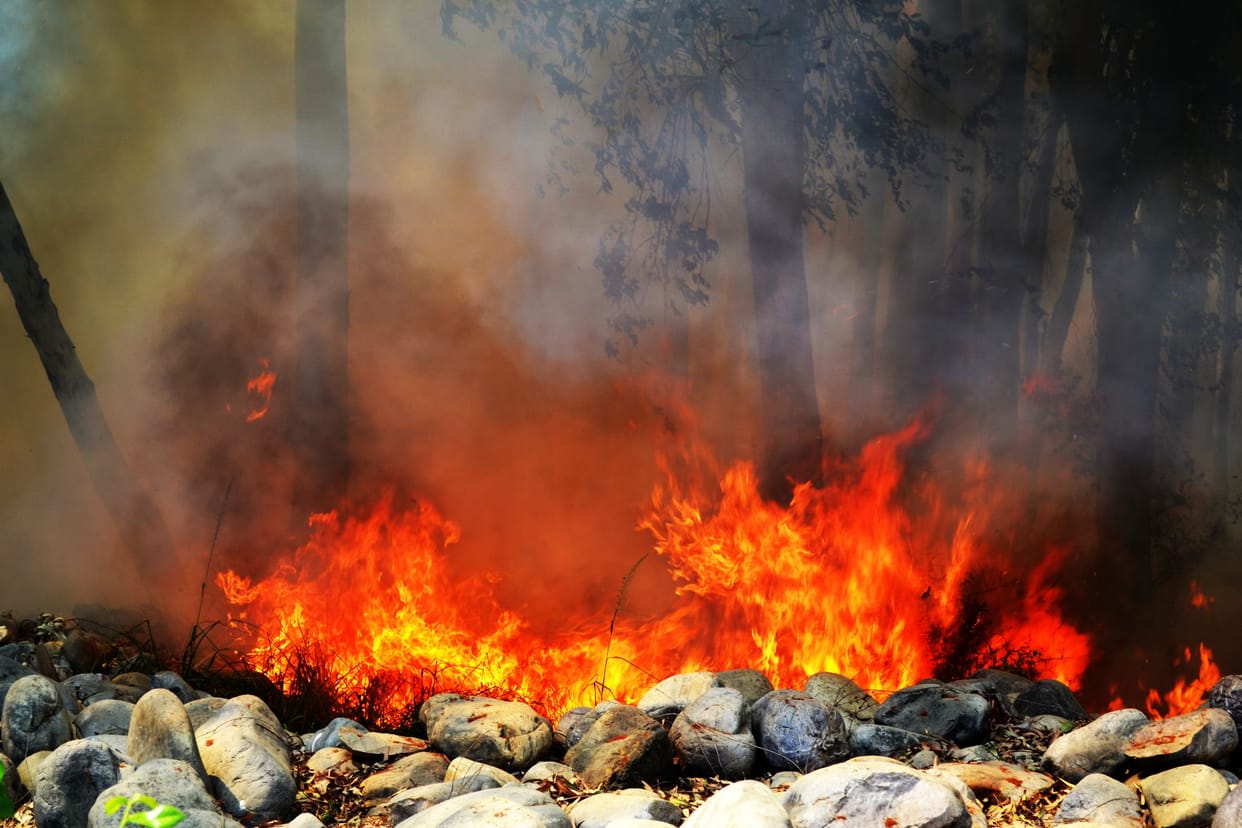 Fire in the bushes along the railway track