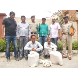 hindi story, crime, charas, two arrest, jhajjhar/bahadurgrah
