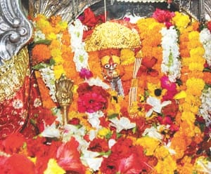 navratra news belha