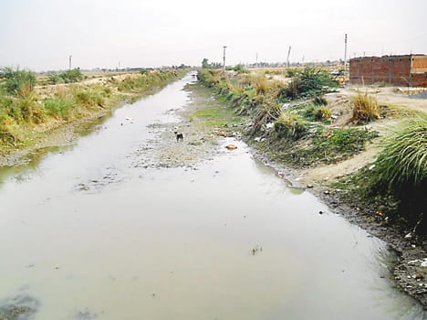 water In the foothills of the  lower Ganga canal 