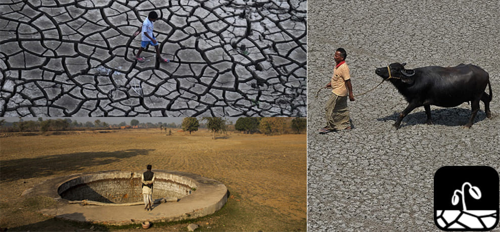 drought in india is natural or man made