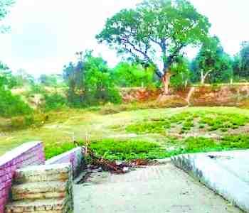 Ideally ponds remain dry 
