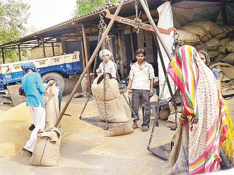 wheat purchasing in haut branch centre