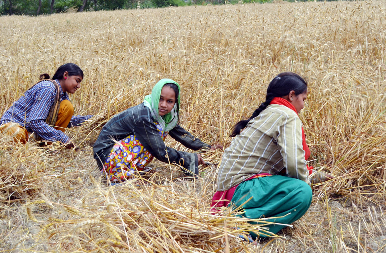 gst will impact farmers as tractor, fertilizers to cost more