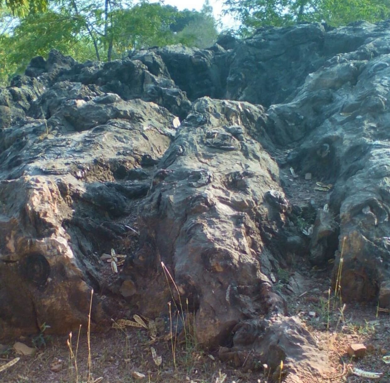 Fasils crisis on the existence of the park