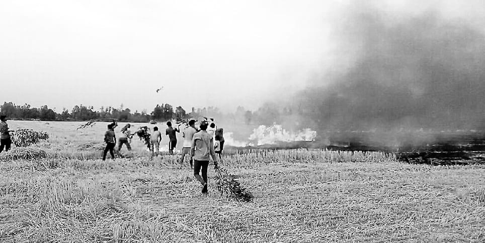 50 acre farm caught fire due to Short circuit