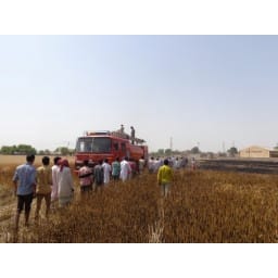 Sirsa News, Hindi News, firee Sirsa