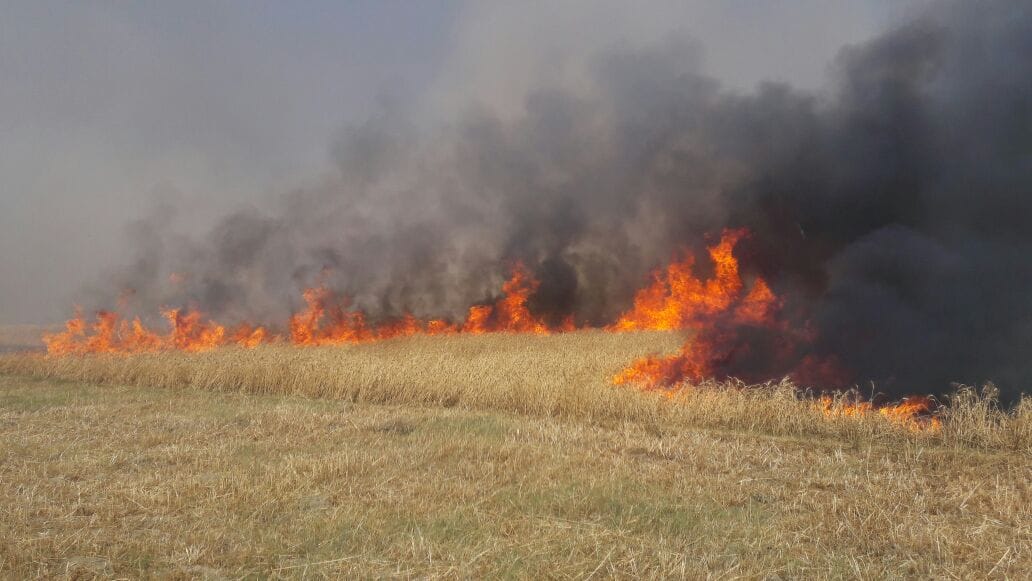 Fire Havoc, 5000 acres of crop ash