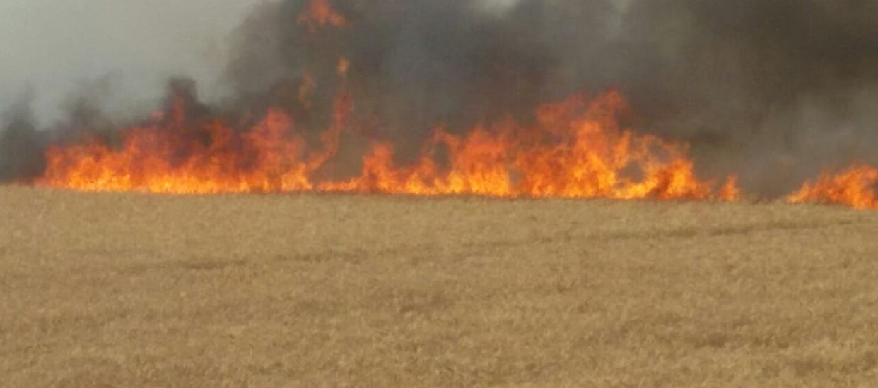 Fire, land-houses burnt, two died