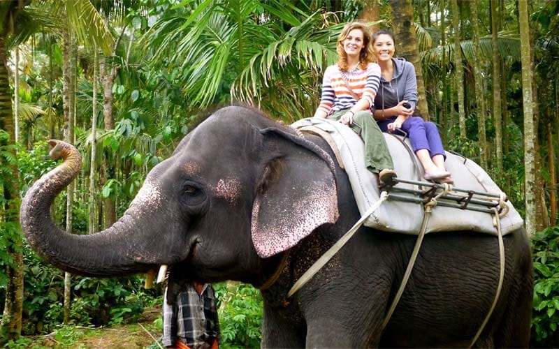 best Vacations of india to Animals lovers