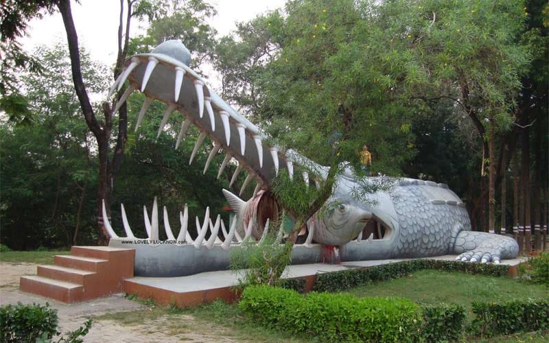 best Vacations of india to Animals lovers