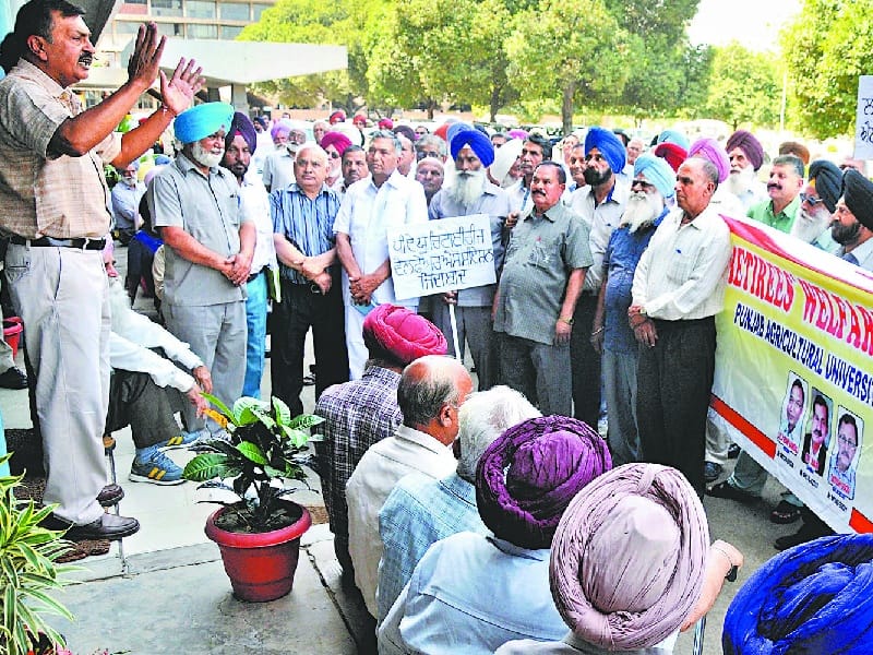 march, pensioners march in ludhiana, protest in ludhiana