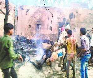 Seven home and a crop acres ash, burnt alive 12 cattle