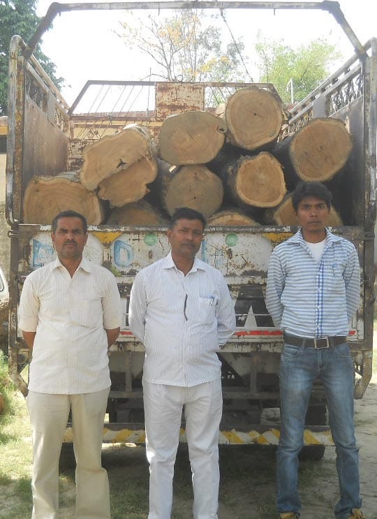 Seas Pickup, 33 Bote teak recovered