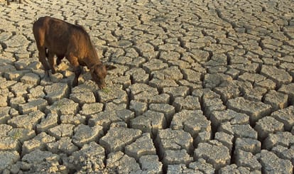 water crisis and famine in india