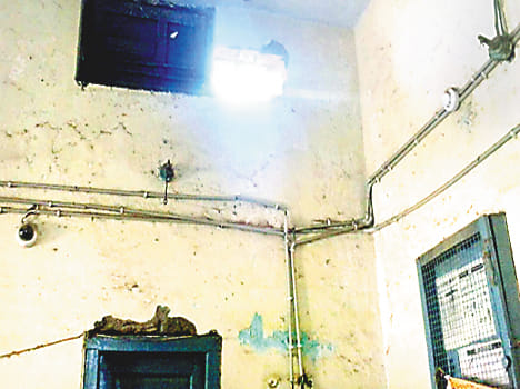 The strong room of the Central Bank reached a thief