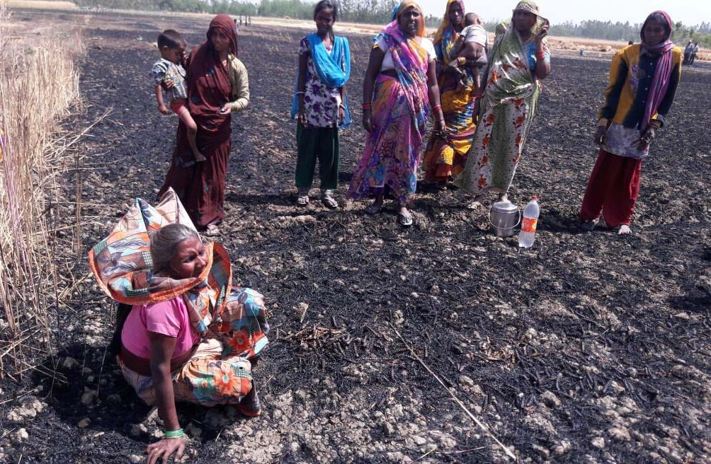 Ten farmers burned 56 acres of wheat