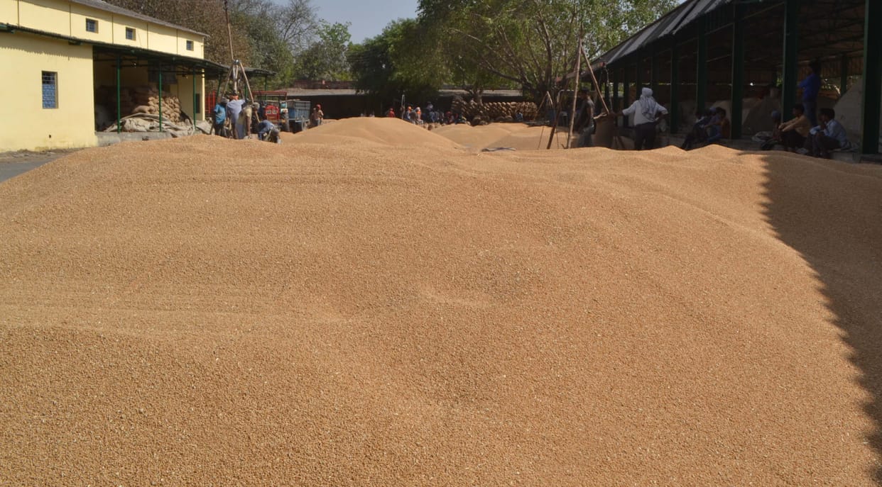 Wheat, rice will be distributed to the poor delay