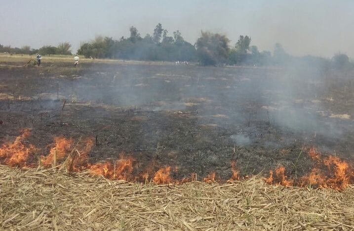Sravasti scorched two girls, four hundred acres of crop ash