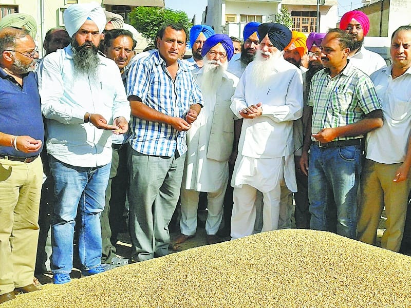 agriculture Minister took stock of the arrangements for wheat procurement