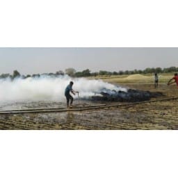 crop burn with fire