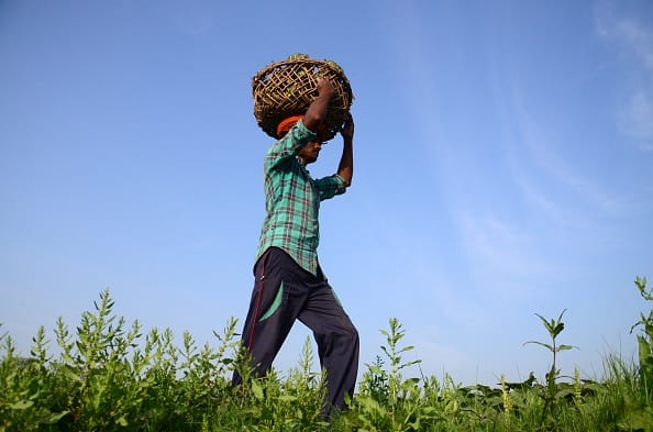 exploitation by foreign companies of farmers will be end