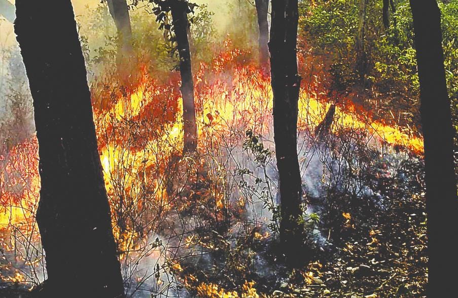 Scorching One family's child in Vnagni Rawat