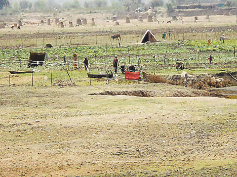 Dust flying in living well drained ponds