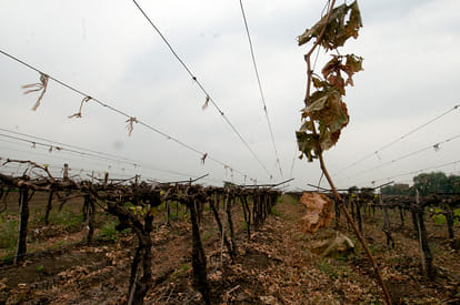 condition of marathwada in drought
