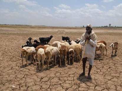 condition of marathwada in drought
