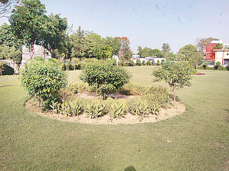 Ckeri-Shyamnagar came good day