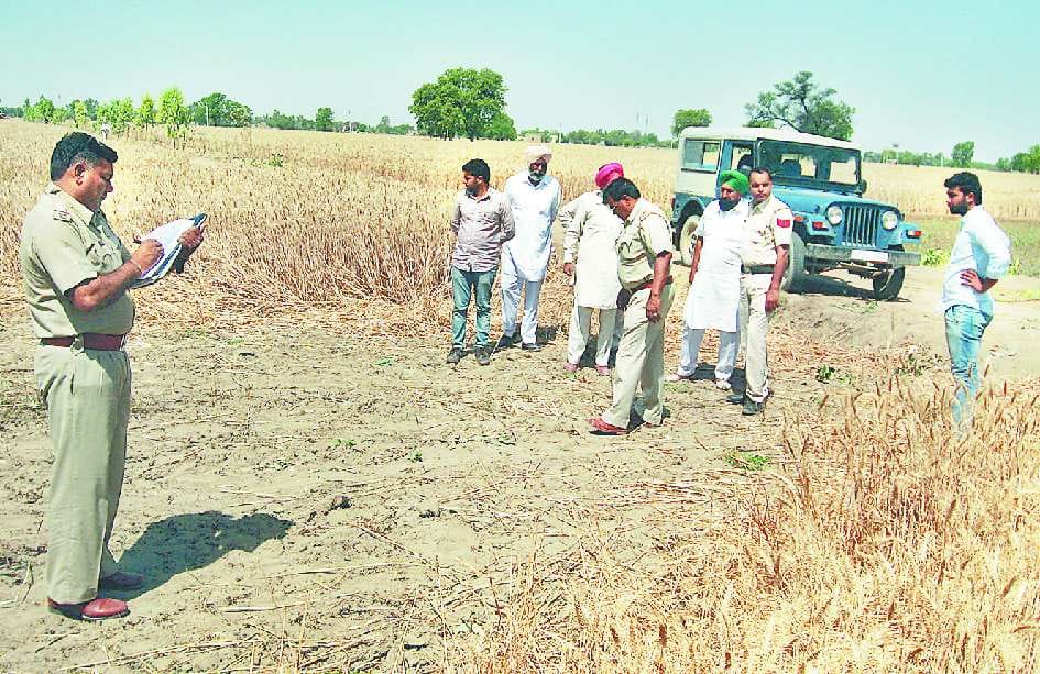 Sirsa News, Hindi News, Crime, Whear Crop, Burned, Sirsa