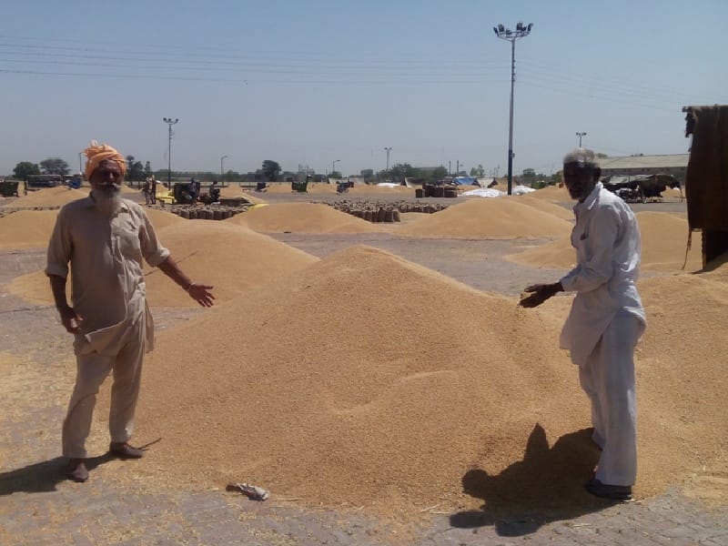 Dhore Mundi Sangru,r problems, farmers, Sangrur