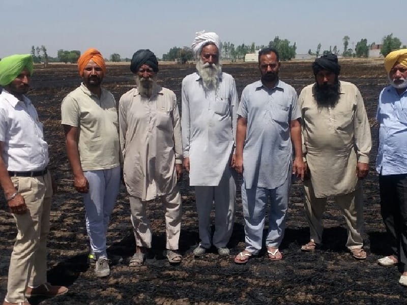 Used fire Sangrur, 31 acres burned wheat, Sangrur