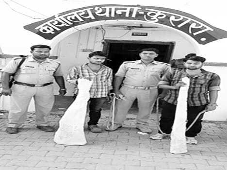 2 accused on remand, weapon found