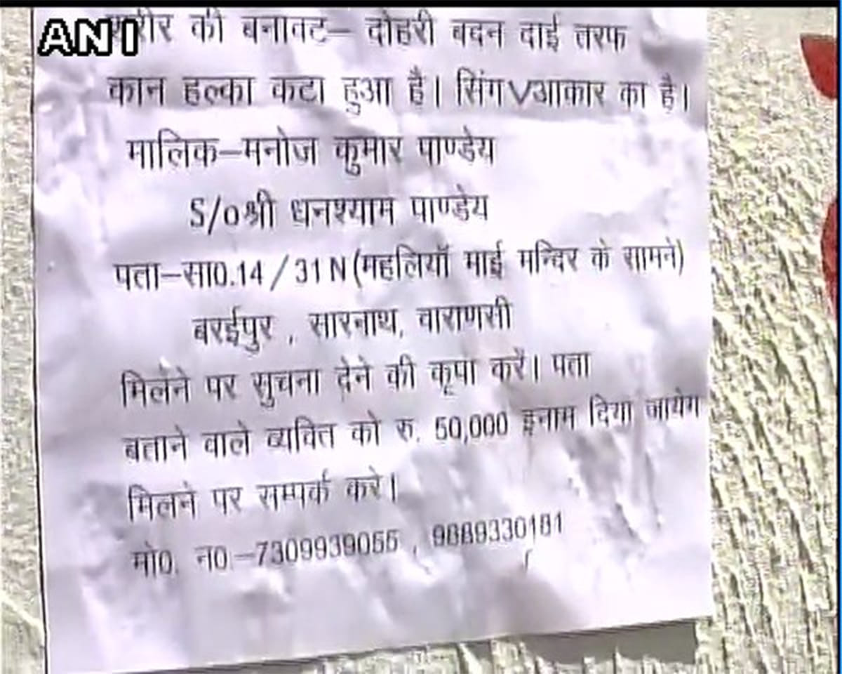 poster in the city offering fifty thousand rupees who will discover the missing bull