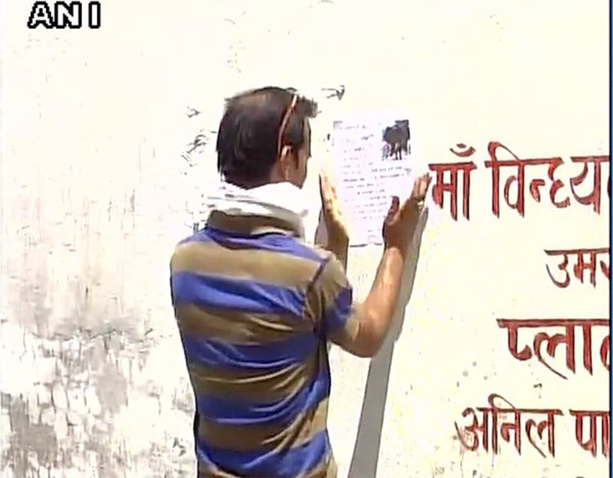 poster in the city offering fifty thousand rupees who will discover the missing bull