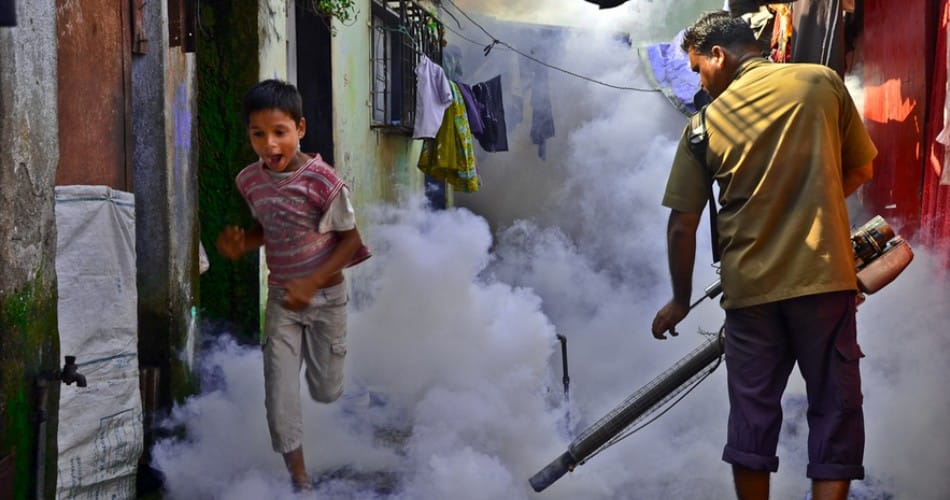 dengue, malaria, summer season, mosquito, nagar nigam, fogging, mohali